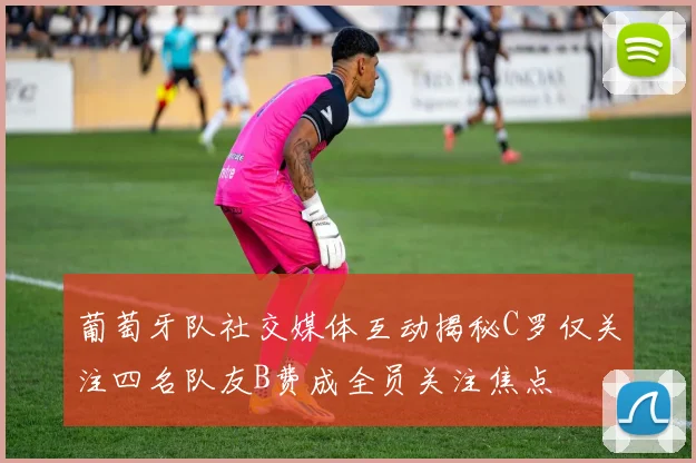 葡萄牙队社交媒体互动揭秘C罗仅关注四名队友B费成全员关注焦点